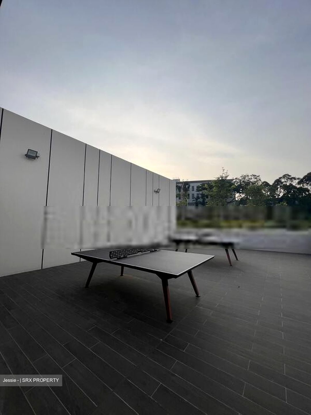 Normanton Park (D5), Apartment #411921201